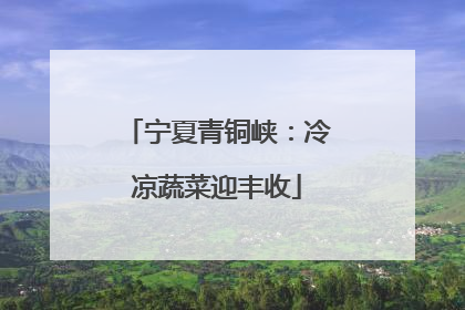 宁夏青铜峡：冷凉蔬菜迎丰收