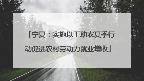 宁夏：实施以工助农夏季行动促进农村劳动力就业增收
