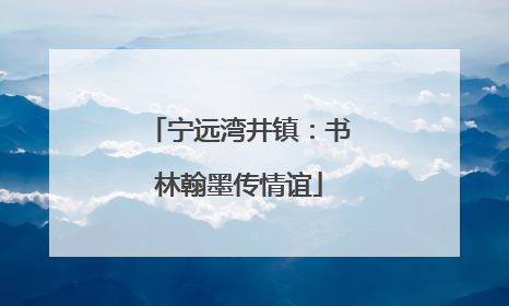 宁远湾井镇：书林翰墨传情谊