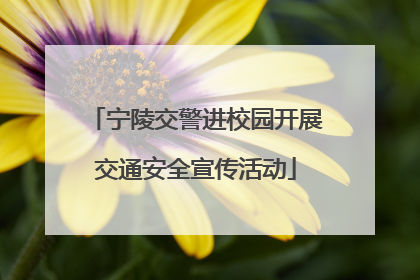 宁陵交警进校园开展交通安全宣传活动