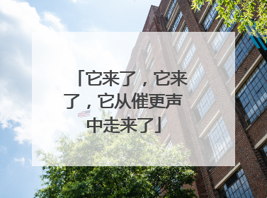 它来了，它来了，它从催更声中走来了