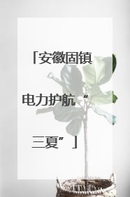 安徽固镇电力护航“三夏”