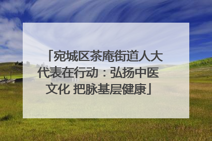 宛城区茶庵街道人大代表在行动：弘扬中医文化 把脉基层健康