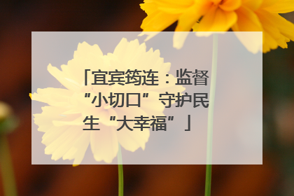 宜宾筠连：监督“小切口”守护民生“大幸福”