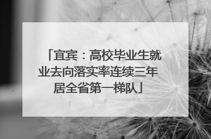 宜宾：高校毕业生就业去向落实率连续三年居全省第一梯队
