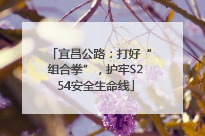 宜昌公路：打好“组合拳”，护牢S254安全生命线