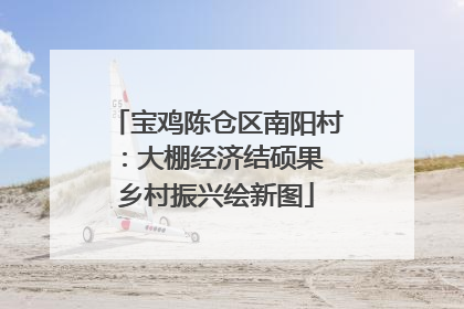 宝鸡陈仓区南阳村：大棚经济结硕果 乡村振兴绘新图