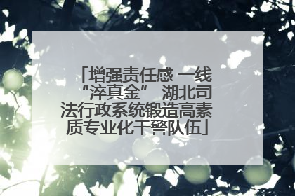 增强责任感 一线“淬真金” 湖北司法行政系统锻造高素质专业化干警队伍