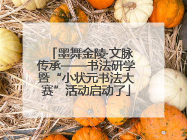 墨舞金陵·文脉传承——书法研学暨“小状元书法大赛”活动启动了