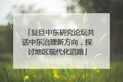 复旦中东研究论坛共话中东治理新方向，探讨地区现代化道路