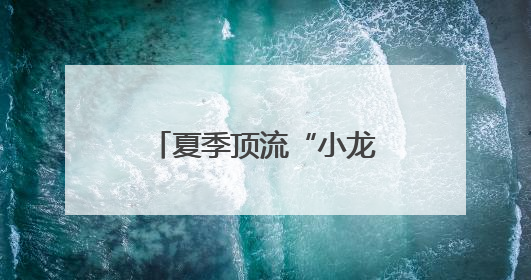 夏季顶流“小龙虾”迎来上市旺季，记者走访一线市场，不到一杯奶茶钱就能买斤虾