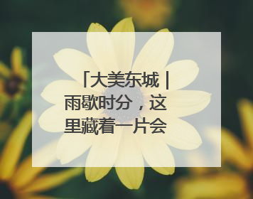 大美东城｜雨歇时分，这里藏着一片会呼吸的绿境