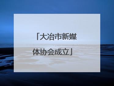 大冶市新媒体协会成立