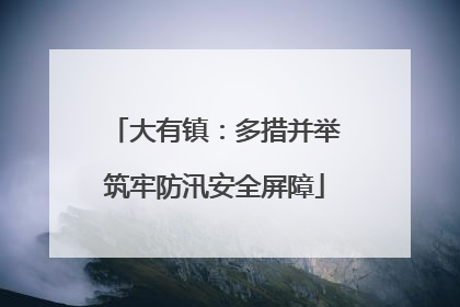 大有镇：多措并举筑牢防汛安全屏障