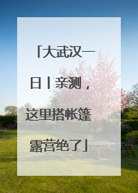 大武汉一日丨亲测，这里搭帐篷露营绝了