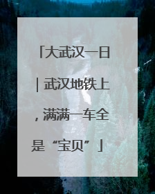 大武汉一日｜武汉地铁上，满满一车全是“宝贝”