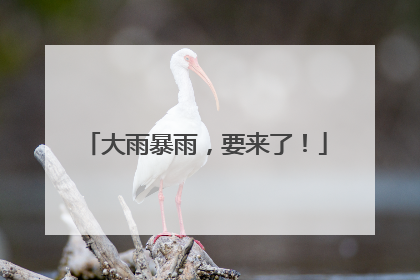 大雨暴雨，要来了！
