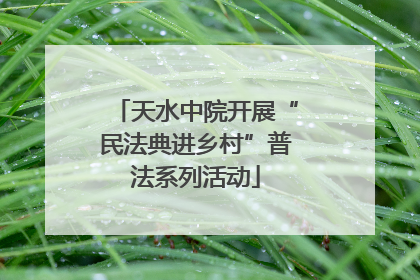 天水中院开展“民法典进乡村”普法系列活动