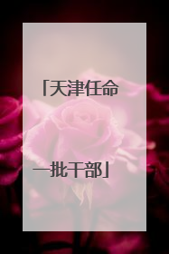 天津任命一批干部