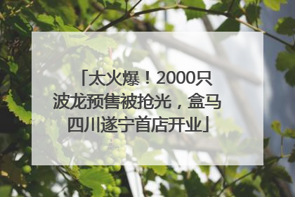 太火爆！2000只波龙预售被抢光，盒马四川遂宁首店开业