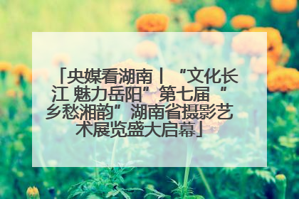 央媒看湖南丨“文化长江 魅力岳阳”第七届“乡愁湘韵”湖南省摄影艺术展览盛大启幕