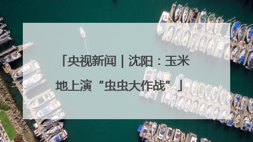 央视新闻｜沈阳：玉米地上演“虫虫大作战”