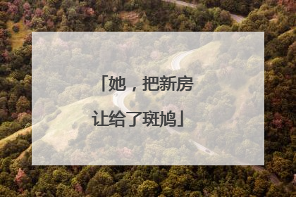 她，把新房让给了斑鸠