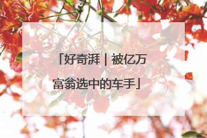 好奇湃｜被亿万富翁选中的车手