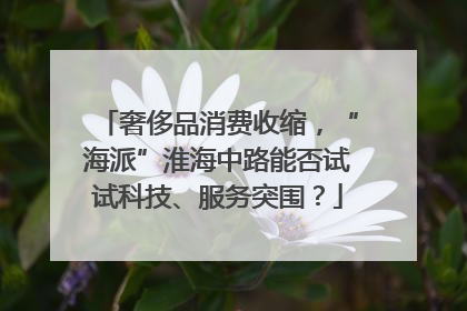 奢侈品消费收缩，“海派”淮海中路能否试试科技、服务突围？