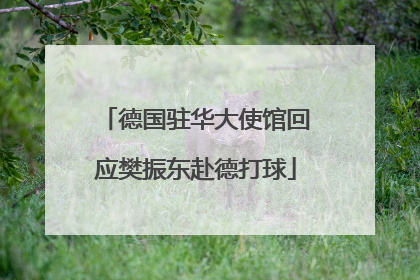 德国驻华大使馆回应樊振东赴德打球