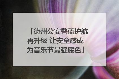 德州公安警蓝护航再升级 让安全感成为音乐节最强底色