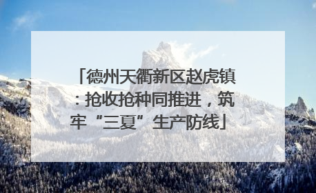 德州天衢新区赵虎镇：抢收抢种同推进，筑牢“三夏”生产防线
