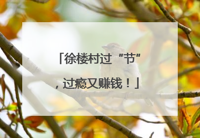 徐楼村过“节”，过瘾又赚钱！