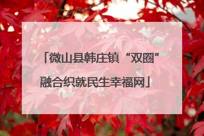 微山县韩庄镇“双圈”融合织就民生幸福网