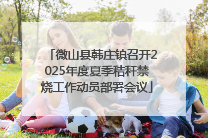 微山县韩庄镇召开2025年度夏季秸秆禁烧工作动员部署会议
