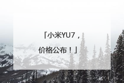 小米YU7，价格公布！