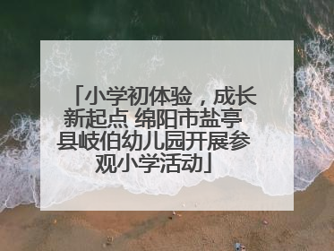 小学初体验，成长新起点 绵阳市盐亭县岐伯幼儿园开展参观小学活动