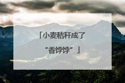 小麦秸秆成了“香饽饽”