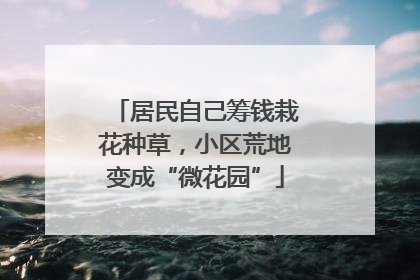 居民自己筹钱栽花种草，小区荒地变成“微花园”