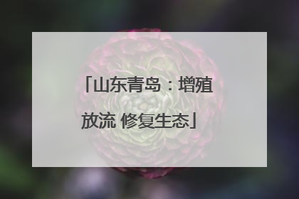 山东青岛：增殖放流 修复生态