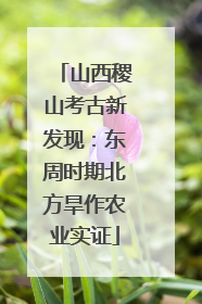 山西稷山考古新发现：东周时期北方旱作农业实证