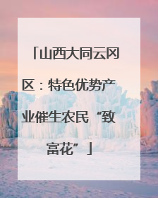 山西大同云冈区：特色优势产业催生农民“致富花”