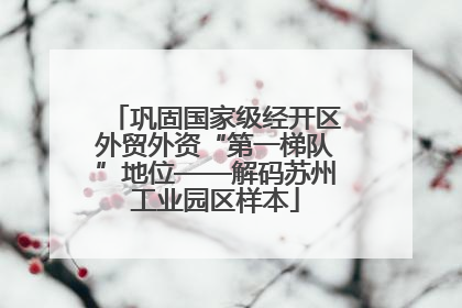 巩固国家级经开区外贸外资“第一梯队”地位——解码苏州工业园区样本