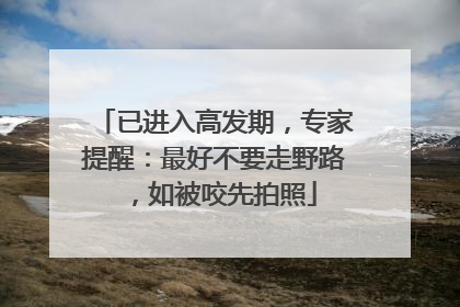 已进入高发期，专家提醒：最好不要走野路，如被咬先拍照