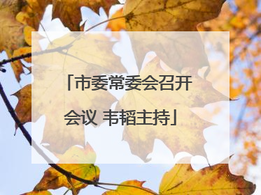 市委常委会召开会议 韦韬主持