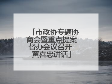 市政协专题协商会暨重点提案督办会议召开 黄喜忠讲话