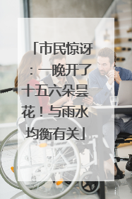 市民惊讶：一晚开了十五六朵昙花！与雨水均衡有关