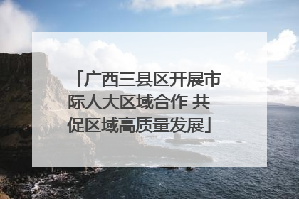 广西三县区开展市际人大区域合作 共促区域高质量发展