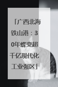 广西北海铁山港：30年蝶变超千亿现代化工业强区