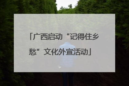 广西启动“记得住乡愁”文化外宣活动